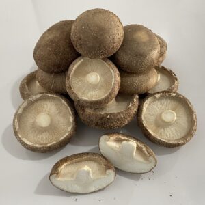 Nấm Hương Tươi