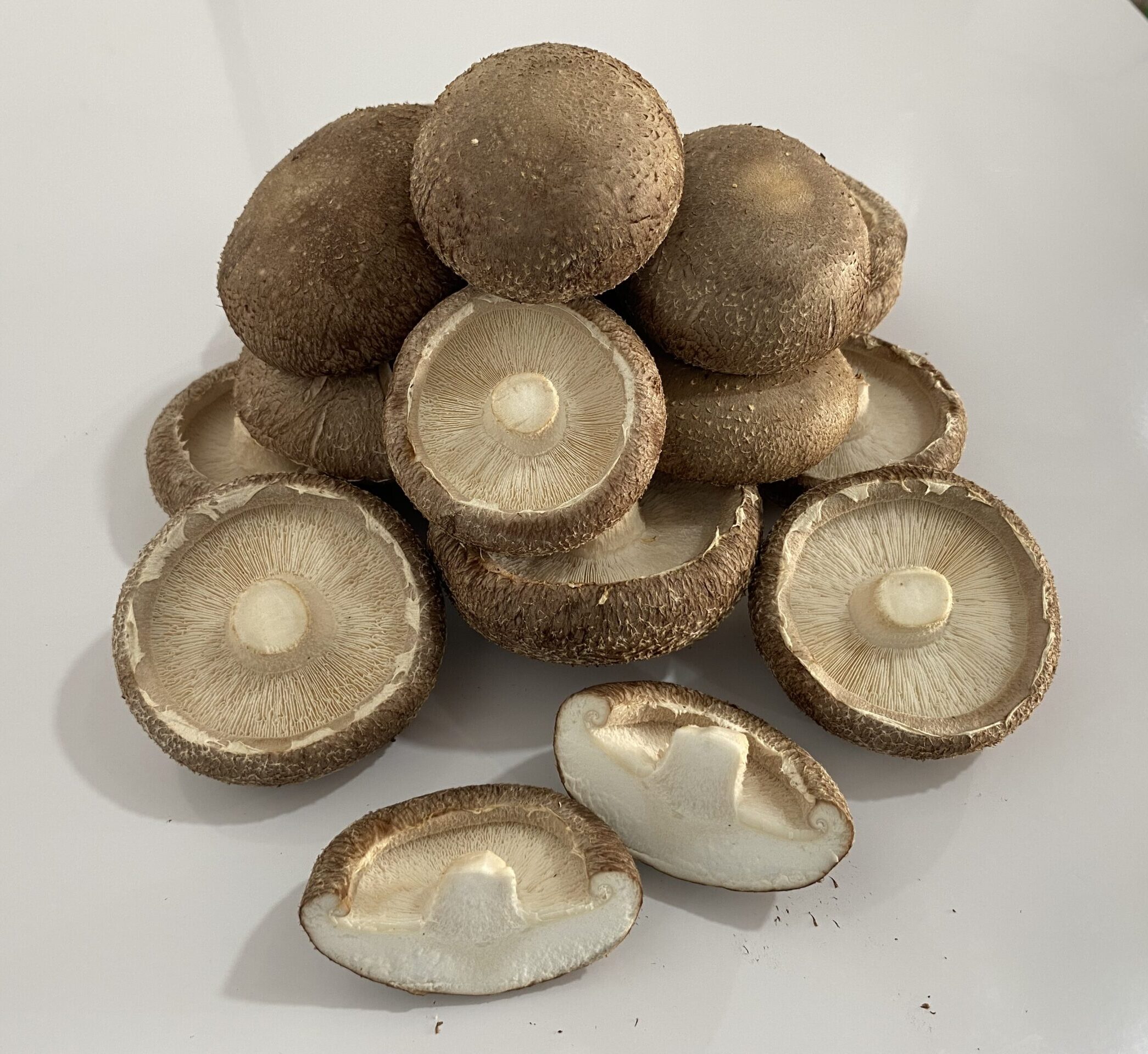 Nấm Hương Tươi