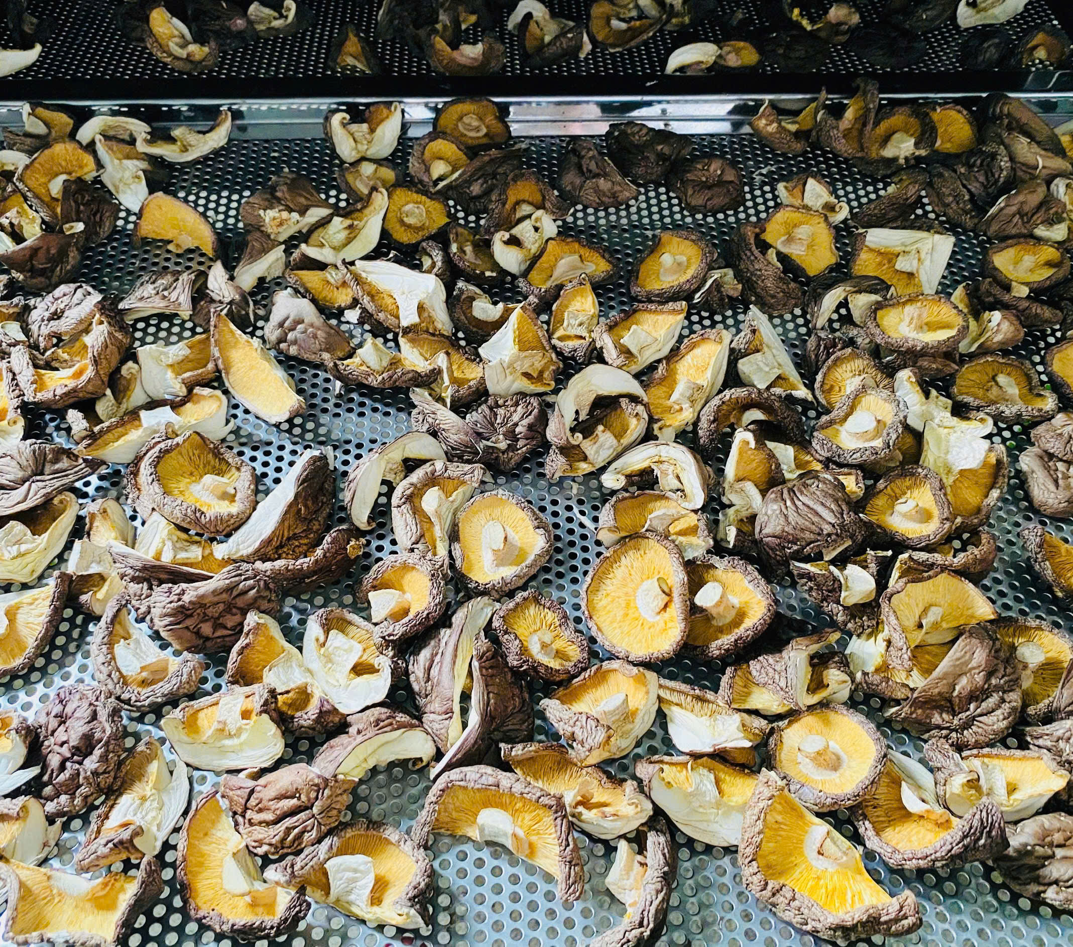 Nấm Hương Khô